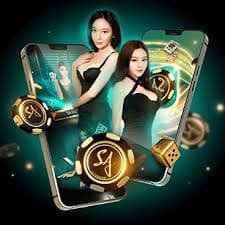 qq808